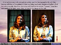 Over 100 full-color photographs